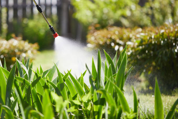 24/7 Emergency Mosquito Control experts in Elliston, VA